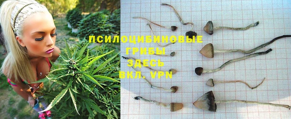 таблы Белокуриха